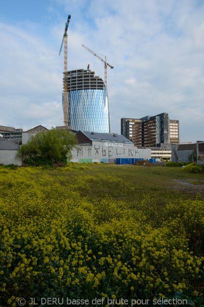 Liège, immeuble Paradis2